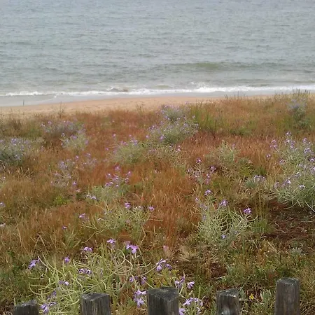 Le Plaisance Pornichet