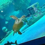 Le Plaisance Nyaraló *