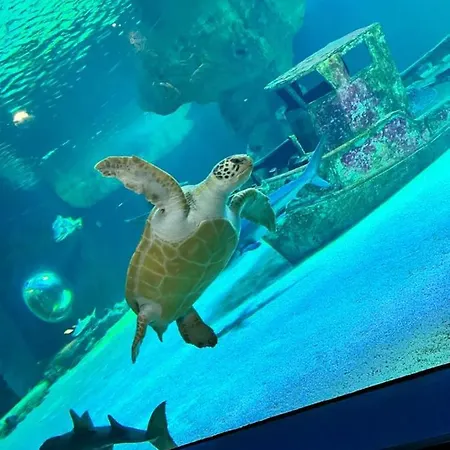 Le Plaisance Tatil Evi *