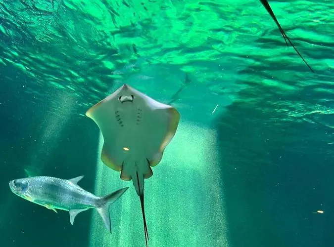 Le Plaisance Σπίτι διακοπών Pornichet