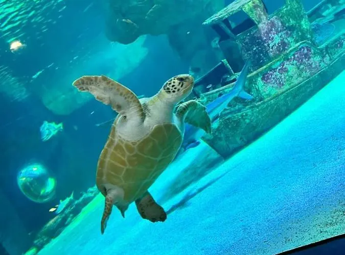 Le Plaisance Semesterbostad *