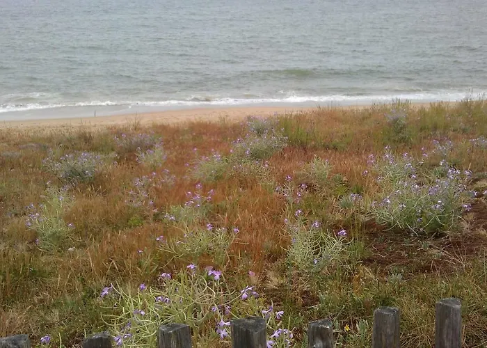 Le Plaisance Pornichet